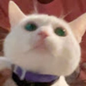 Meet your Posher, Emiyah